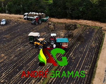 Plantio de Gramas